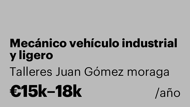 Mecánico vehículo industrial y ligero