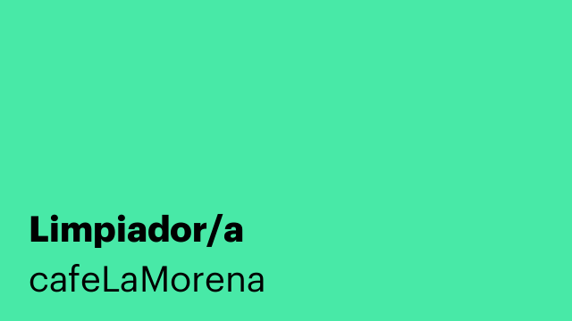 Limpiador/a