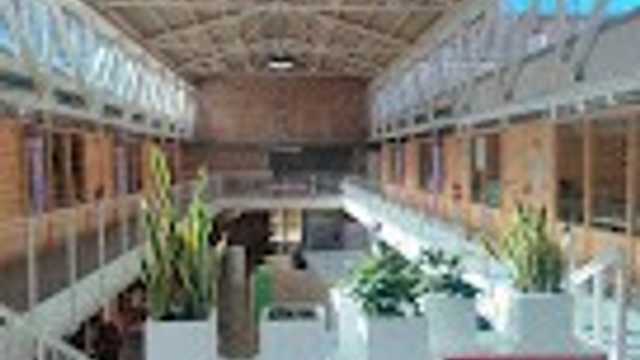 Auxiliar Administratiu/va Junior