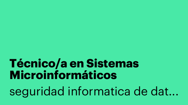Técnico/a en Sistemas Microinformáticos