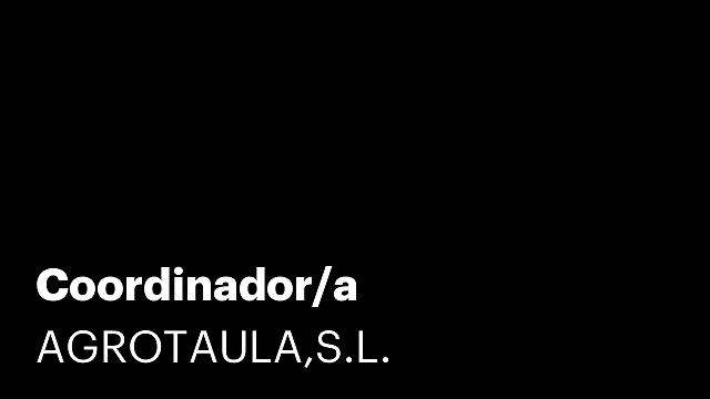 Coordinador/a