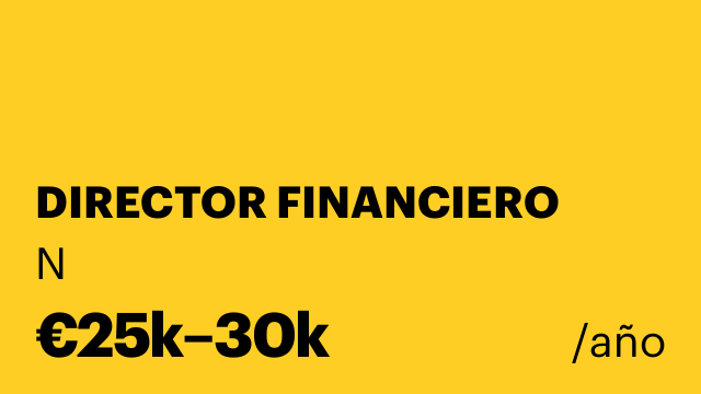 DIRECTOR FINANCIERO
