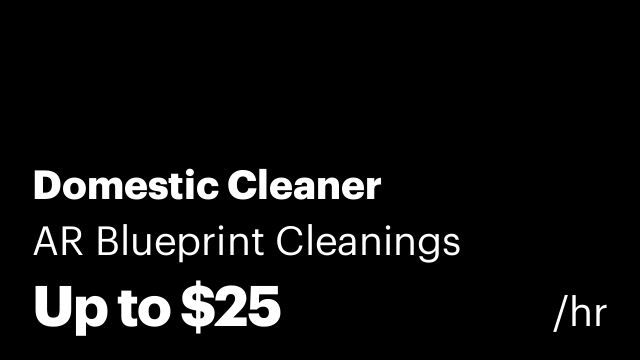 Domestic Cleaner