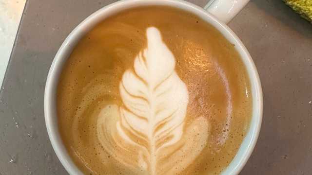 Barista and Waiter / Waitress