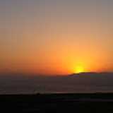 patricia O. avatar icon