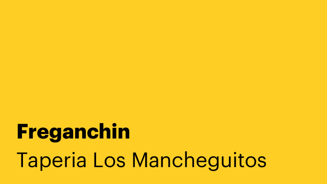 Freganchin