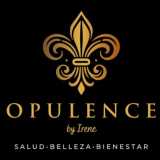 Irene Hair Salón S.L logo