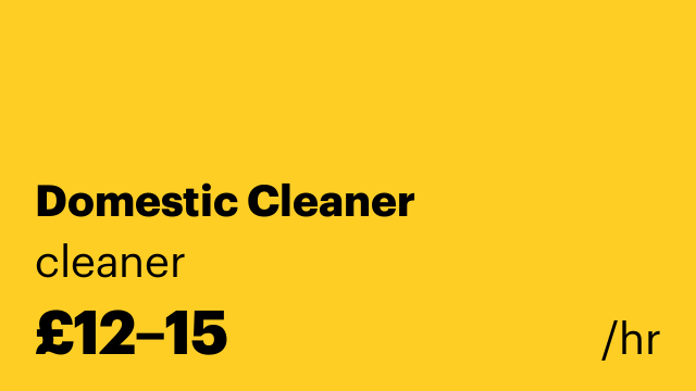 Domestic Cleaner