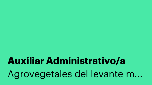 Auxiliar Administrativo/a