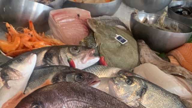 Sushi Chef