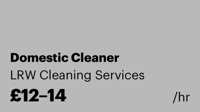 Domestic Cleaner