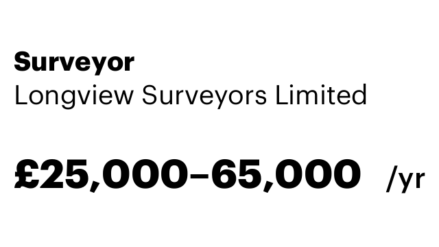 Surveyor