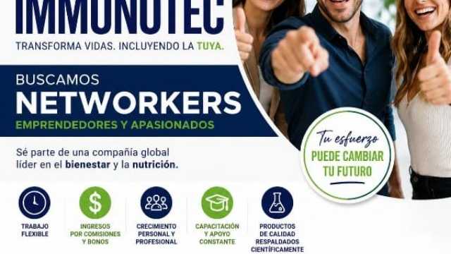 Consultor independiente