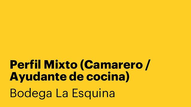 Perfil Mixto (Camarero / Ayudante de cocina)