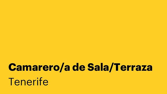 Camarero/a de Sala/Terraza