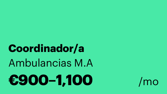 Coordinador/a