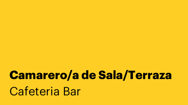 Camarero/a de Sala/Terraza
