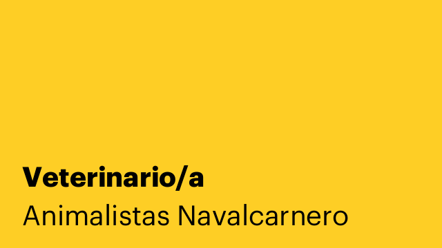 Veterinario/a