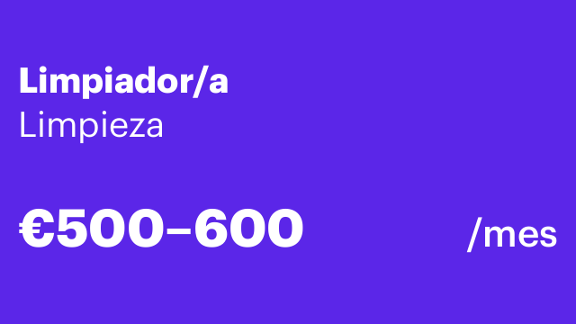 Limpiador/a