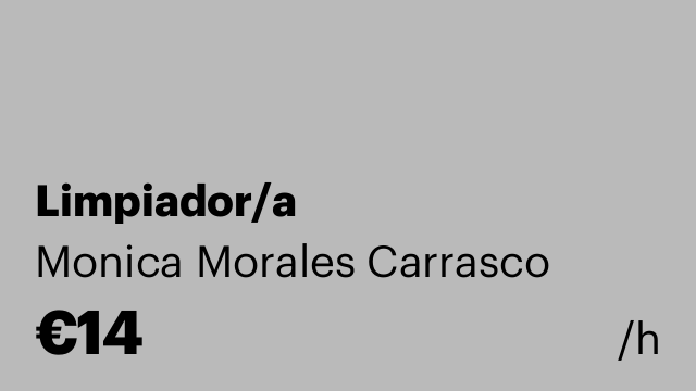 Limpiador/a