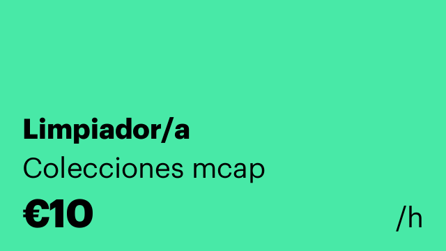 Limpiador/a
