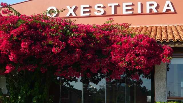 Ayudante de parrilla