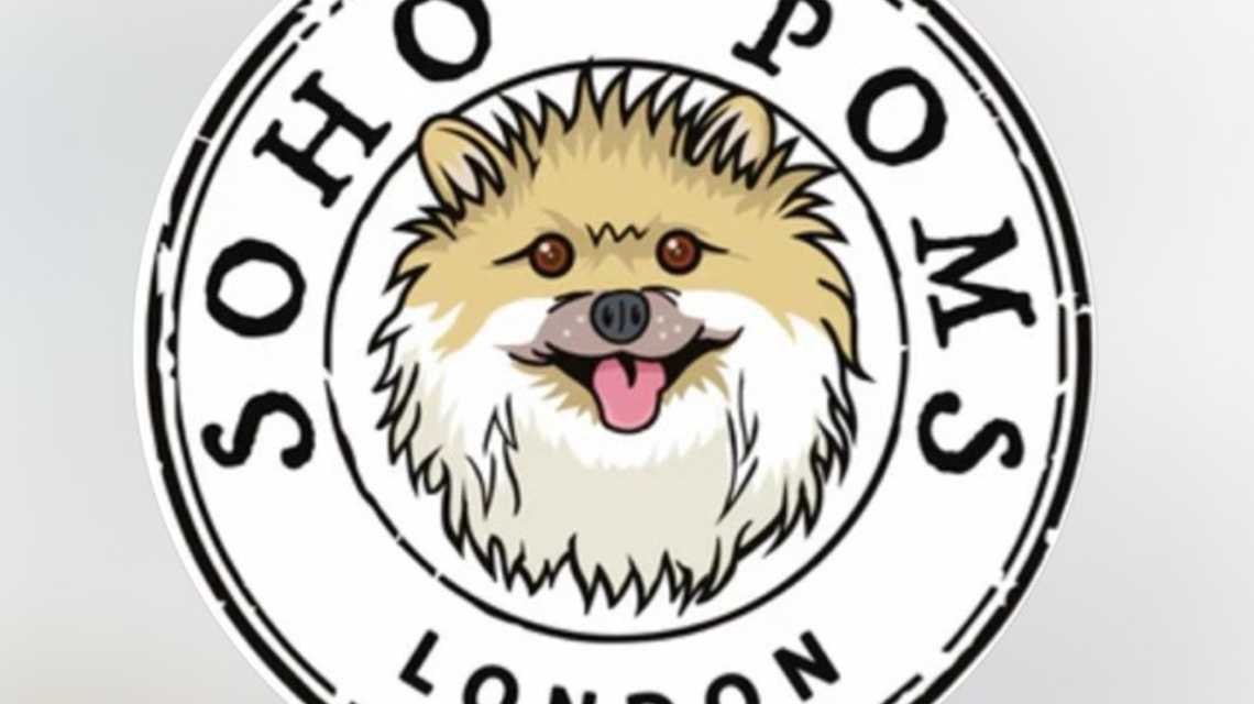 Sohopoms ltd cover image