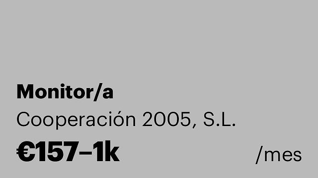 Monitor/a