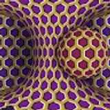 Eduard N. avatar icon