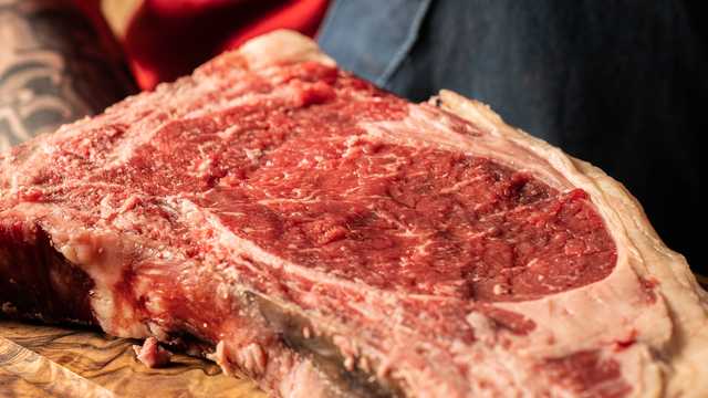COCINERO PARRILLA. BRASA HORNO JOSPER