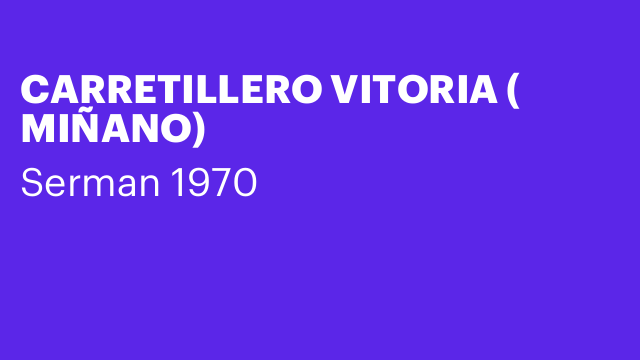 CARRETILLERO VITORIA ( MIÑANO)