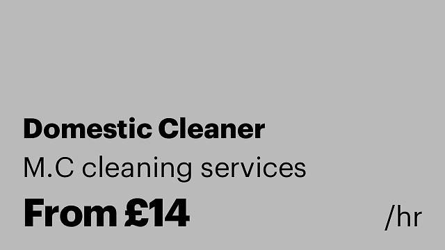 Domestic Cleaner