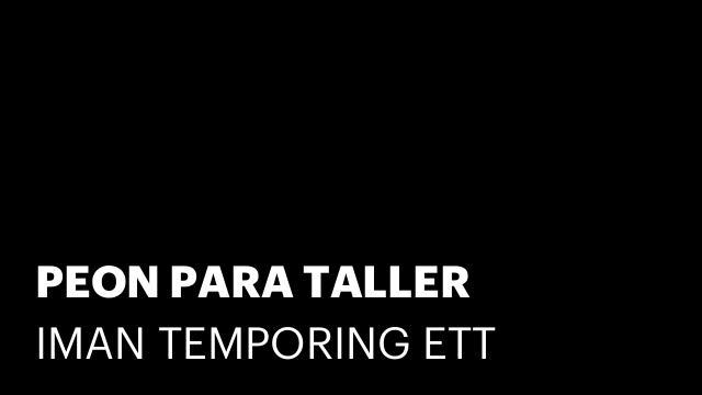 PEON PARA TALLER