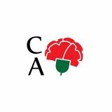 Alvaro M. avatar icon