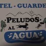 Peludos al agua logo