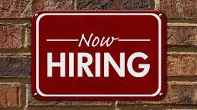 Personal Assistant (PA)