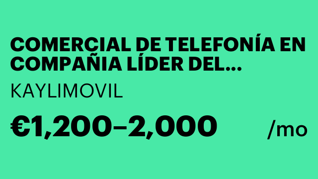 COMERCIAL DE TELEFONÍA EN COMPAÑIA LÍDER DEL SECTOR