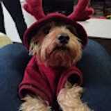 Angelica F. avatar icon