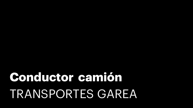Conductor  camión