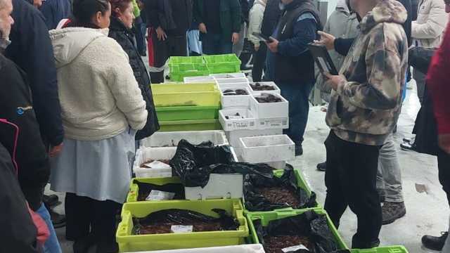 Carga y descarga en el Puerto de La Coruña