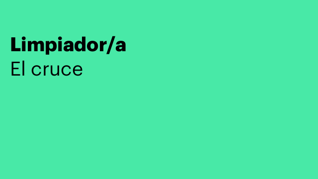 Limpiador/a