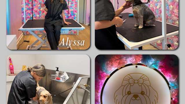 Dog Grooming Assistant