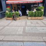 Ionela P. avatar icon