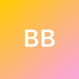 Bruno B. avatar icon