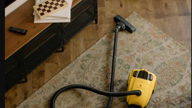 Cleaner / Driver