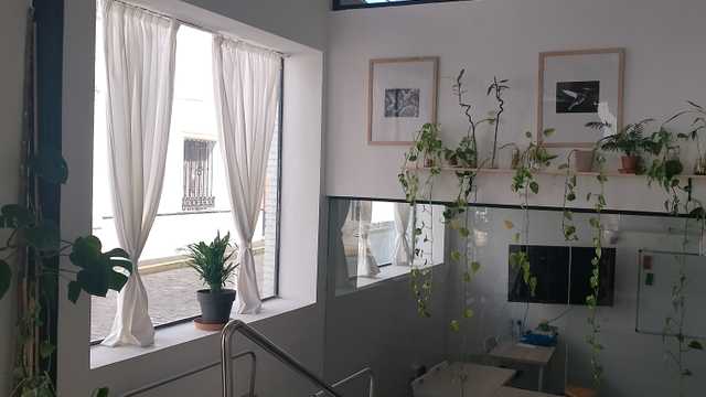 Profesor/a de Inglés