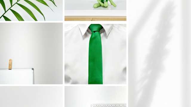 Agente Inmobiliario