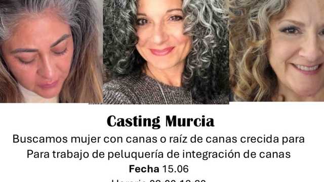 Modelo de Peluquería