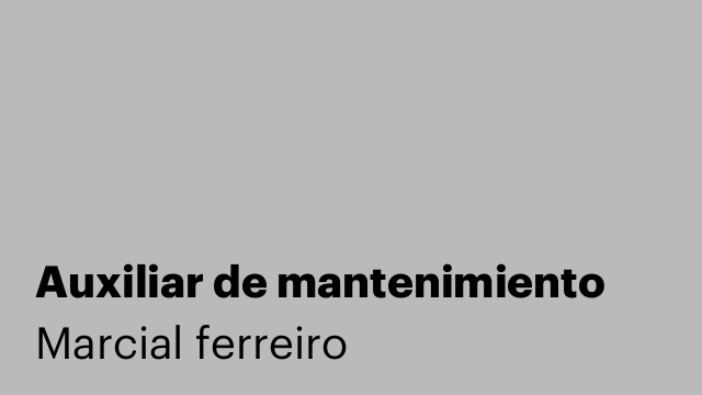 Auxiliar de mantenimiento
