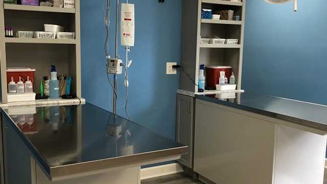 Veterinary Technician